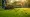 Maximizing Efficiency with Lawn Aerator Rentals
