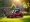 7 Reasons to Rent a Ride-On Mower for Your Landscaping Projects