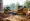 Track Loader vs Skid Steer: Performance, Costs, and Suitability Explained