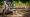 Master Skid Steer Stump Remover: Best Practices for Project Managers