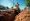 How to Rent a Walk-Behind Trencher for Your Construction Project