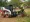 Mastering the Skid Steer Tree Grubber: An Essential Guide for Project Managers