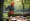Master Tree Trimmer Equipment: Essential Practices for Project Managers