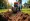 How Much Does It Cost to Rent a Trencher? Key Factors Explained
