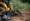 4 Essential Checks for Your Brush Cutter Attachment on Skid Steer
