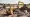 Backhoe vs Excavator vs Bulldozer: Choosing the Right Machine