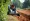 7 Benefits of Mini Skid Steer Mulcher Rental for Project Managers