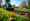 4 Key Tips for Lawn Aeration Tool Rental Success