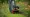 Choosing the Best Tillers for Rent: A Comprehensive Guide