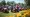 How to Find the Best Lawn Tool Rental Near Me: A Step-by-Step Guide