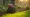 What Are Yard Tillers for Rent? Understanding Their Benefits and Uses