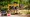 Best Practices for Using a Skid Steer Limb Saw Safely and Efficiently