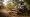 Master the Mulcher Head for Skid Steer: A Step-by-Step Approach
