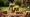 Master Stump Removal Equipment: Best Practices for Project Success