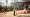 How to Rent a Forklift: Essential Steps for Project Managers