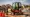 10 Benefits of Using a Mini Excavator with Cab for Projects